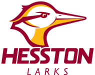 Hesston Larks W crest