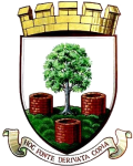 Wells City crest