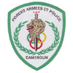FAP logo