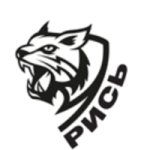 Rys-DYUSSh W crest